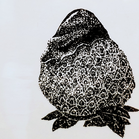 Original B&W stippled illustration and limitprints